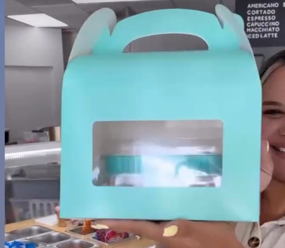 Cake Box 4 Pieces